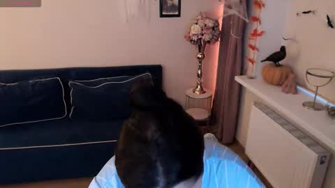 Heaven girl online show from November 2, 1:35 pm