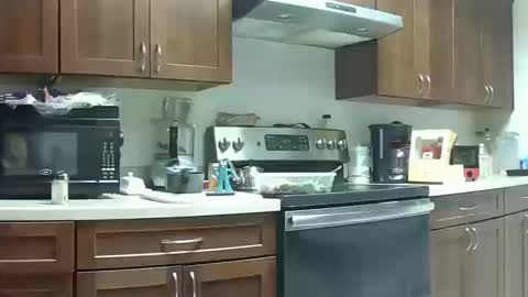 Snapshot of heblack chatting on October 10, 7:13 pm HE Black online show from October 10, 7:13 pm