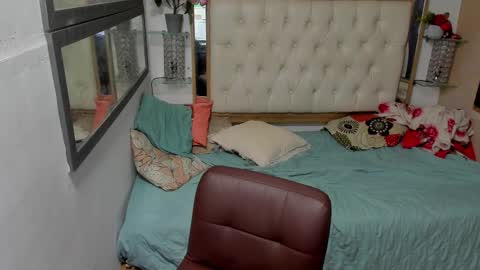 Snapshot of heiker_ chatting on November 8, 2:56 am heiker_ online show from November 8, 2:56 am