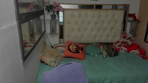 Snapshot of heiker_ chatting on November 15, 3:04 am heiker_ online show from November 15, 3:04 am