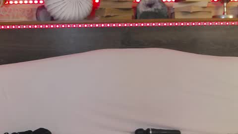 Snapshot of hellendesire chatting on February 22, 7:12 am online show from February 22, 7:12 am