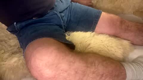 David Whinston Smith online show from September 20, 7:20 am