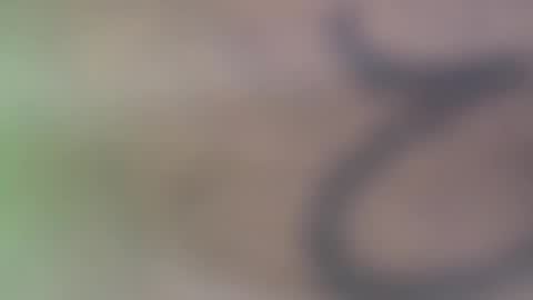 Snapshot of hellohowareyou66 chatting on November 29, 6:11 pm hellohowareyou66 online show from November 29, 6:11 pm