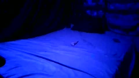 SissyNutsBustedCounter online show from April 23, 8:02 am