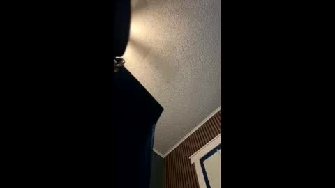 Hentai KittyXx online show from May 20, 12:06 am