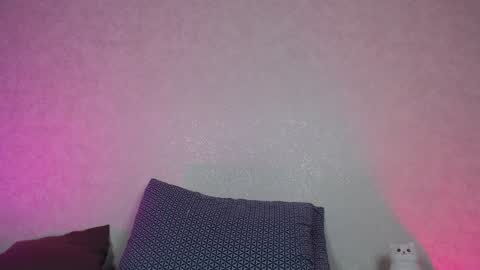 Snapshot of hesssa chatting on December 28, 3:04 pm Hesssa Prime time  The broadcasts start at 3am and 3 pm London time  online show from December 28, 3:04 pm