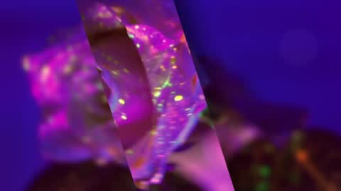 Alina online show from January 19, 7:26 pm