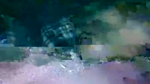 MR. Bation online show from February 17, 1:13 am