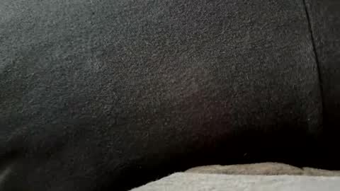 Snapshot of higheguy chatting on February 20, 5:46 pm higheguy online show from February 20, 5:46 pm