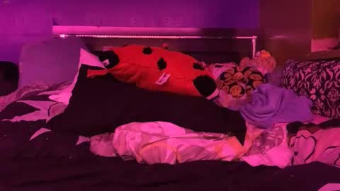 HiGHNESS CANNA online show from February 11, 4:56 pm