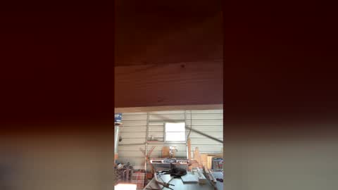 hippiefunball online show from March 22, 8:34 pm