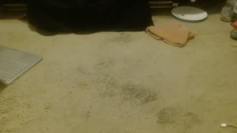 Holly Hawkes online show from April 17, 12:30 pm