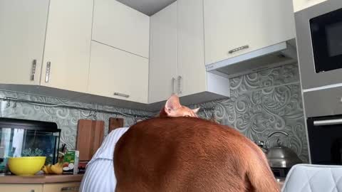 dori not holy get my tg channel with link from description under last photo online show from February 10, 8:53 am