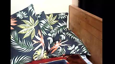 Snapshot of holygurl77 chatting on October 14, 10:10 pm cristy online show from October 14, 10:10 pm