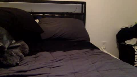 Snapshot of homeboylab chatting on January 11, 2:16 am Richie online show from January 11, 2:16 am