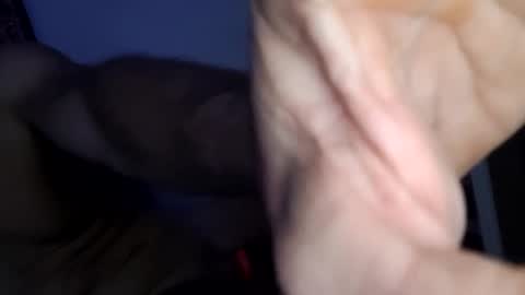 Homer online show from February 21, 10:04 pm