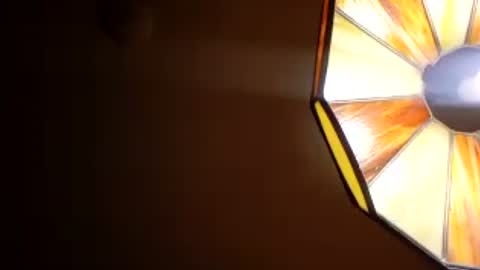 Snapshot of honeybear2026 chatting on July 28, 7:37 am honeybear2026 online show from July 28, 7:37 am