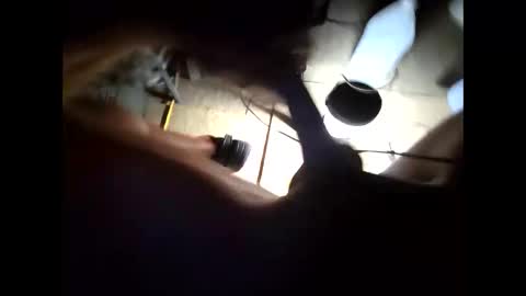 hongdong online show from November 15, 10:23 am