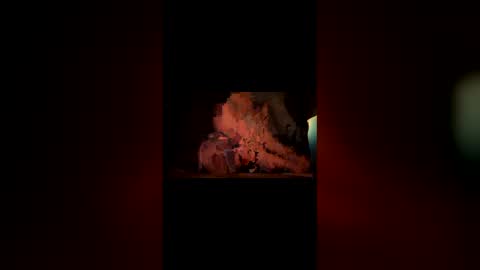 hoodiehoe online show from March 3, 6:41 am