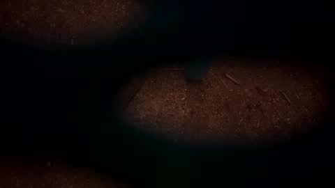 hopper_in_joyce online show from March 2, 9:10 am