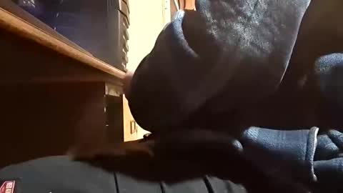 Dominick Subversal online show from November 1, 5:26 pm