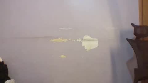 phanice online show from April 22, 5:10 am