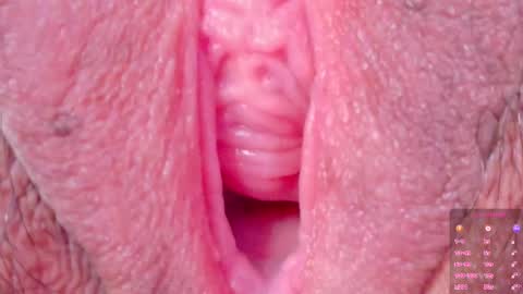 Snapshot of horny_moly chatting on October 8, 1:47 am The girl with butterfly lips online show from October 8, 1:47 am