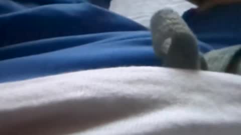 Tiny cock online show from July 8, 1:32 am
