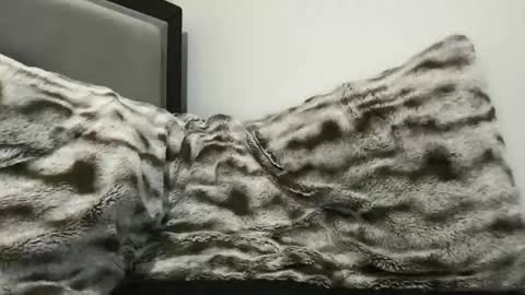 cumsh0tking online show from November 3, 1:40 am