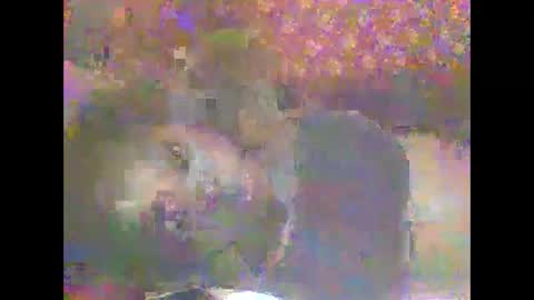 hornygal001 online show from April 8, 5:07 am