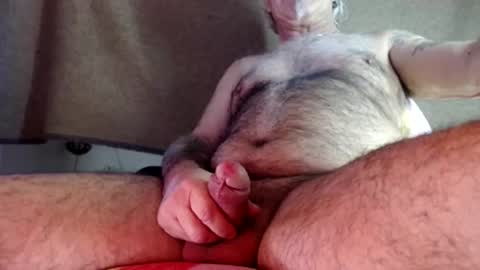 Snapshot of hornyswissman chatting on December 11, 2:54 pm hornyswissman online show from December 11, 2:54 pm