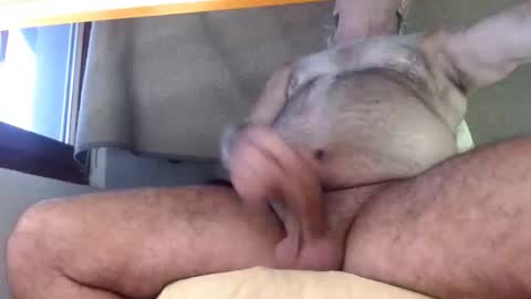 Snapshot of hornyswissman chatting on September 8, 5:01 pm hornyswissman online show from September 8, 5:01 pm