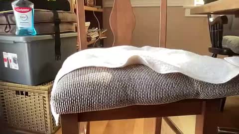 HornyThumb online show from January 11, 6:02 pm