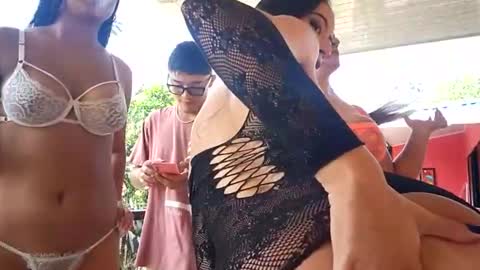 kittens online show from February 27, 3:12 pm