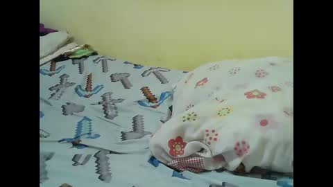 hot_shannia online show from April 21, 8:12 pm