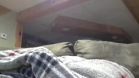 Hot and Horny online show from May 1, 8:46 pm