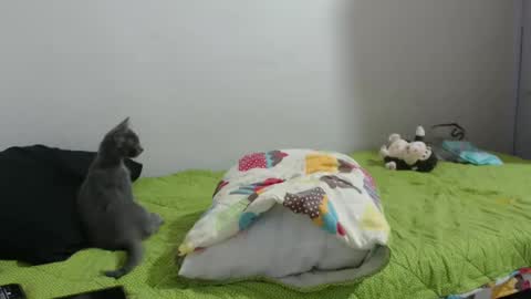 Hot and PowerHOPE U MISS ME online show from January 14, 6:45 am