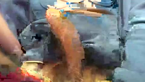 hotdick4200 online show from November 19, 6:24 am