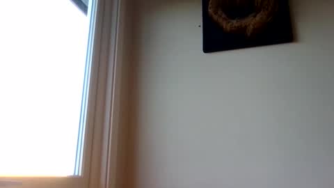 Snapshot of hototo2 chatting on November 25, 11:32 am hototo2 online show from November 25, 11:32 am