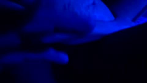 hotsexy6985 online show from May 24, 6:29 am