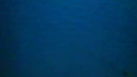hotsurfdude1992 online show from October 9, 10:13 am