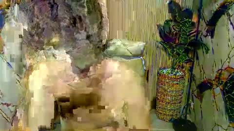 hottestloues online show from April 26, 2:59 pm