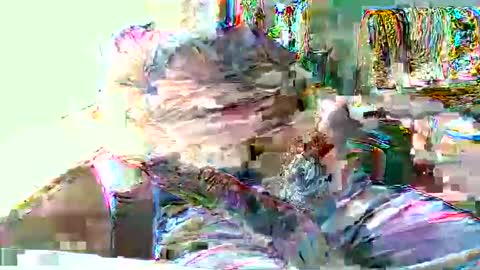Snapshot of hottop_1981 chatting on April 19, 4:39 pm Hottop 1981 online show from April 19, 4:39 pm
