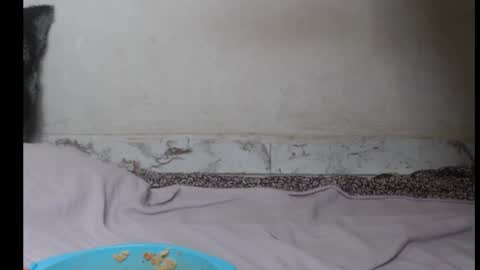 Snapshot of hottylissa1 chatting on September 26, 8:35 pm hottylissa1 online show from September 26, 8:35 pm