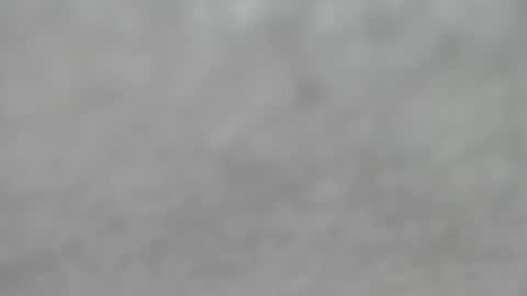 Slutty little female cat online show from October 12, 4:33 am