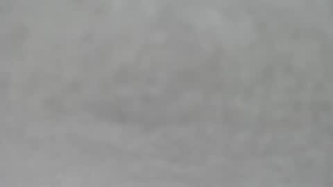 Slutty little female cat online show from October 19, 4:35 am