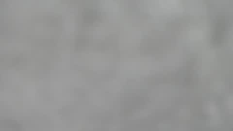 Slutty little female cat online show from November 23, 4:56 am