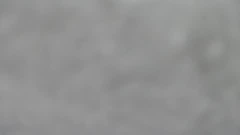 Slutty little female cat online show from January 18, 5:33 am