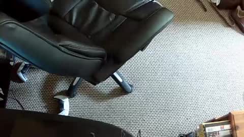 hrnysteve online show from August 2, 1:09 pm