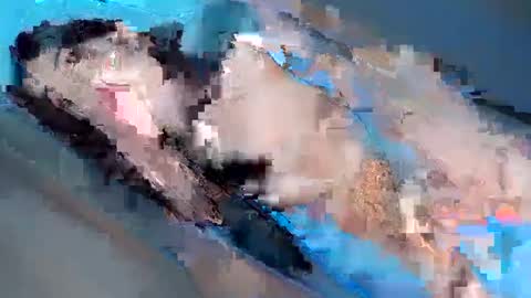 Yhanie online show from February 3, 1:08 pm